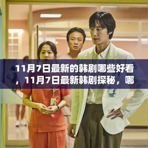 11月7日最新韩剧探秘,哪些好看并值得一看?