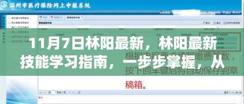 林阳最新技能学习指南,从零起步,掌握林阳最新技能(11月7日更新)