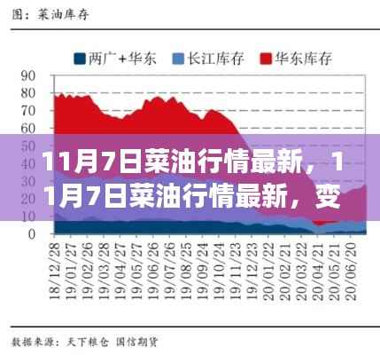 11月7日菜油行情最新动态,变化中的学习,自信与成就感的源泉