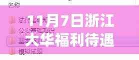 揭秘浙江大华福利待遇内幕,最新动态与深度解读(更新至11月7日)