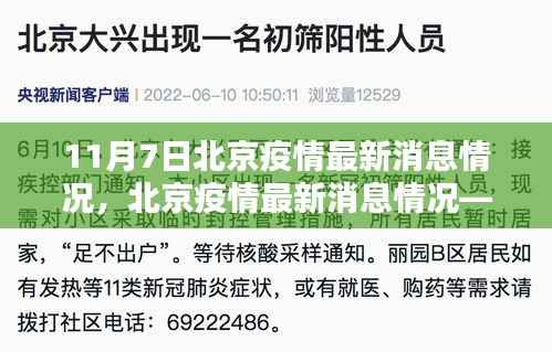 北京疫情最新消息聚焦分析,聚焦要点解读(11月7日更新)