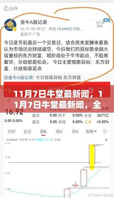 11月7日牛堂新闻速递,全面评测与详细介绍