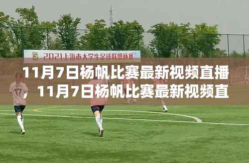 11月7日杨帆比赛最新视频直播,全面评测与介绍