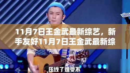 王金武最新综艺节目观看全攻略,新手友好指南(11月7日)