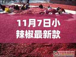 探秘小巷深处的时尚风情,11月7日小辣椒最新款时尚小店揭秘