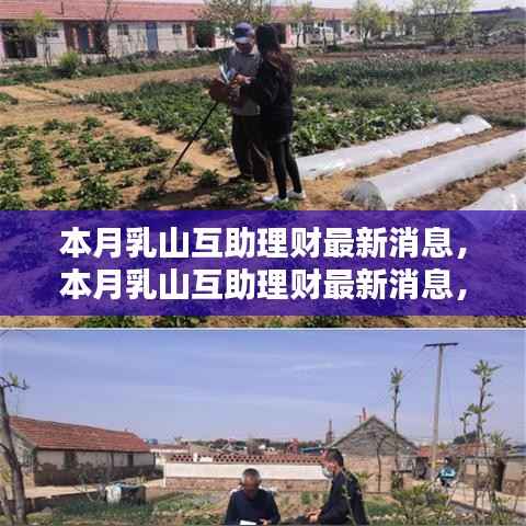 本月乳山互助理财最新动态,深度解析与观点阐述
