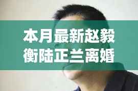 赵毅衡与陆正兰离婚事件,本月热议焦点深度解析