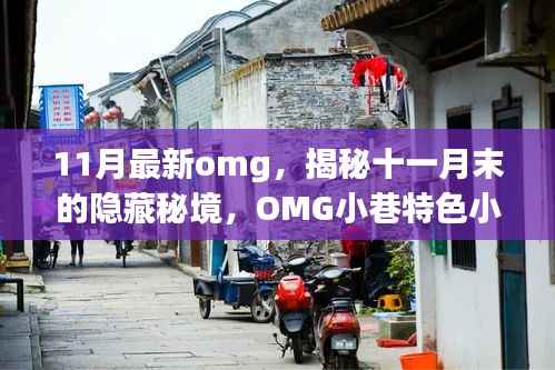 揭秘十一月末隐藏秘境,OMG小巷特色小店探秘之旅
