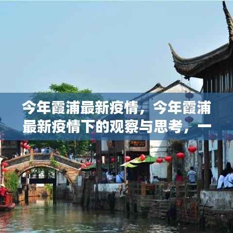 今年霞浦最新疫情下的观察与思考,综合分析报告