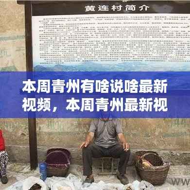 青州本周最新视频探秘,教你如何查找与观看的指南