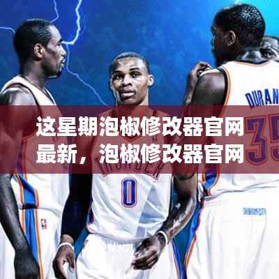 项目介绍 第645页