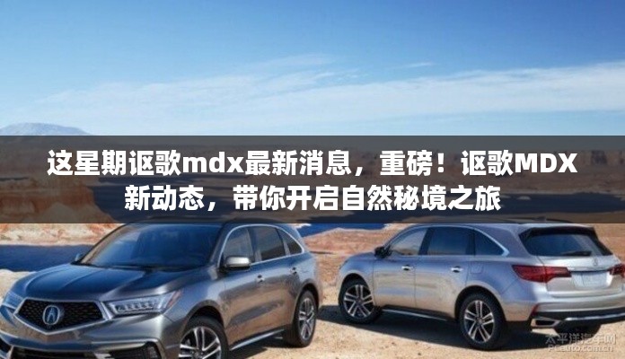 重磅!讴歌MDX最新动态揭秘,开启自然秘境之旅探险之旅