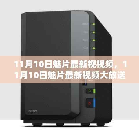 11月10日魅片最新视频大放送,热门影视资讯全掌握