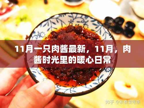 暖心日常,11月肉酱时光的记录与分享
