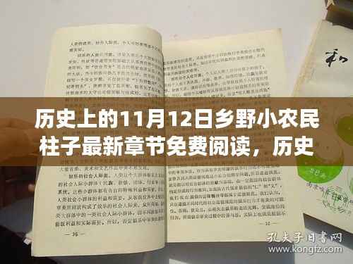 历史上的11月12日,乡野小农民柱子最新章节深度测评与免费阅读介绍