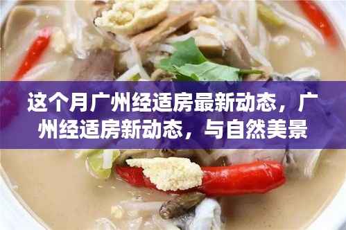 广州经适房新动态,与自然美景的邂逅与内心平和之旅