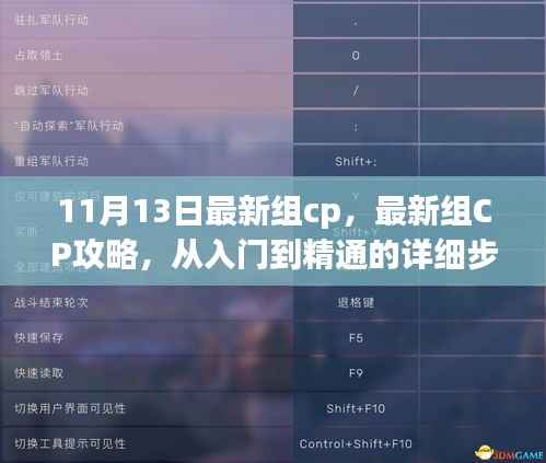 最新组CP攻略,从入门到精通的详细步骤指南(适合初学者与进阶用户,11月13日更新)