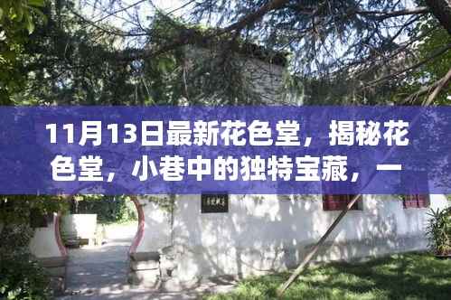 揭秘花色堂,小巷中的独特宝藏,一场不期而遇的奇妙体验之旅