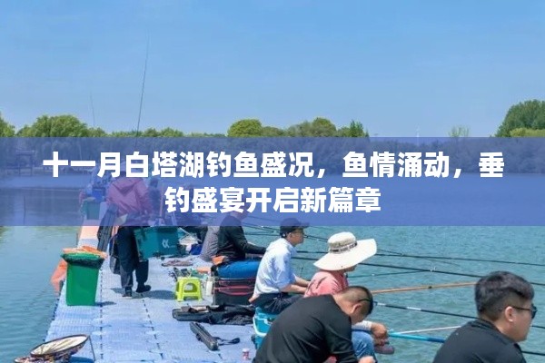 十一月白塔湖钓鱼盛况,鱼情涌动,垂钓盛宴开启新篇章