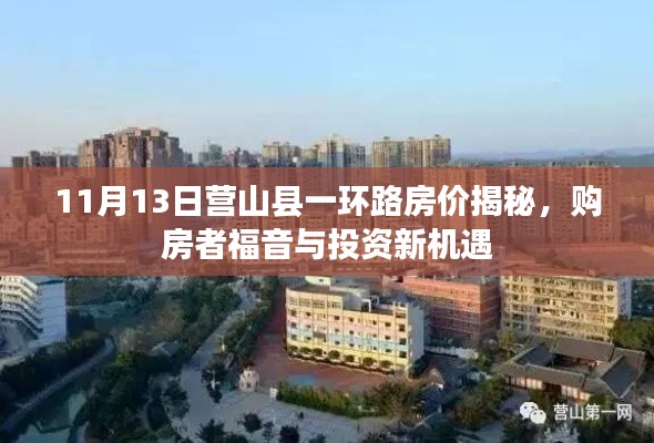 11月13日营山县一环路房价揭秘,购房者福音与投资新机遇