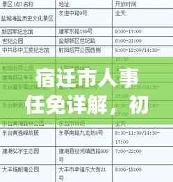 宿迁市人事任免详解,初学者与进阶用户指南(针对往年人事任免变化)