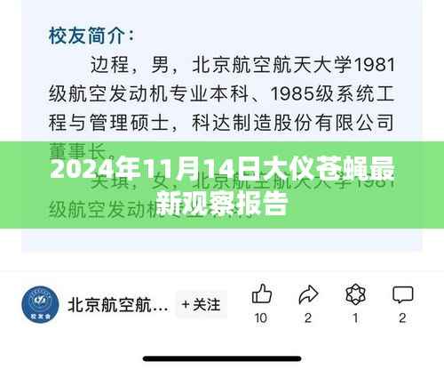 2024年11月14日大仪苍蝇最新观察报告