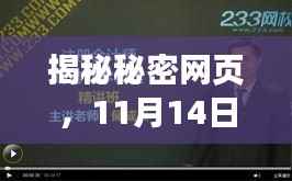 揭秘秘密网页,11月14日新篇章的独特地位与崭新发现