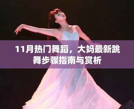 11月热门舞蹈,大妈最新跳舞步骤指南与赏析