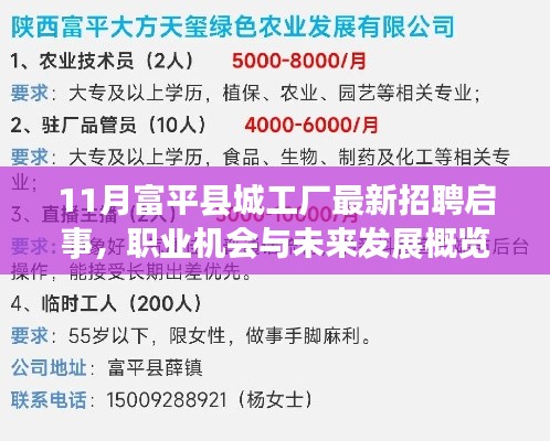 11月富平县城工厂最新招聘启事,职业机会与未来发展概览