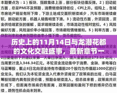 历史上的11月14日与龙潜花都的文化交融盛事,最新章节一览