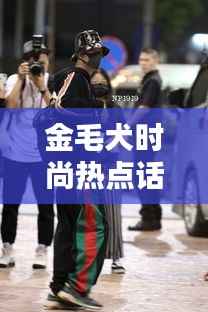 金毛犬时尚热点话题,最新推特动态一网打尽