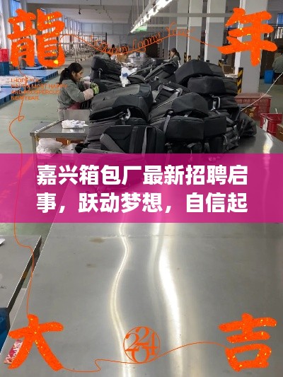 嘉兴箱包厂最新招聘启事,跃动梦想,自信起航,共赴成功之旅