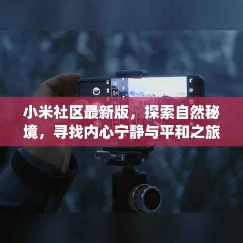 小米社区最新版,探索自然秘境,寻找内心宁静与平和之旅