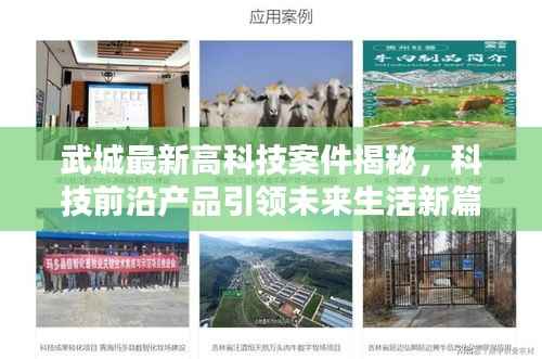 武城最新高科技案件揭秘,科技前沿产品引领未来生活新篇章