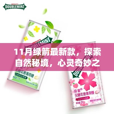 11月绿箭最新款,探索自然秘境,心灵奇妙之旅