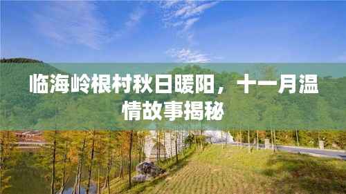 临海岭根村秋日暖阳,十一月温情故事揭秘