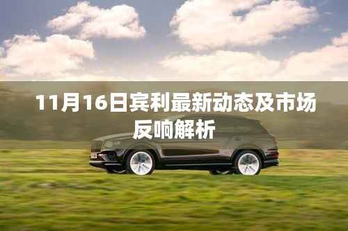 11月16日宾利最新动态及市场反响解析