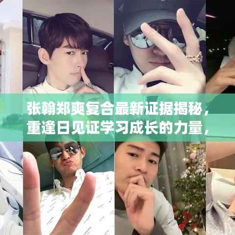 张翰郑爽复合最新证据揭秘,重逢日见证学习成长的力量,自信成就之巅的诞生