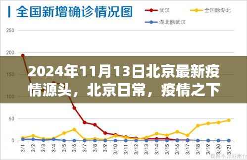 北京疫情最新动态,温情纽带与奇妙冒险在行动(2024年11月13日)