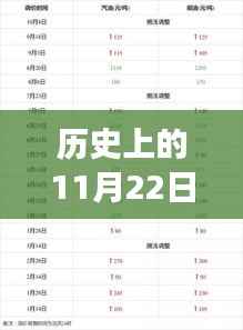 揭秘,历史上的11月22日汽油调价最新消息及调整时间全解析!
