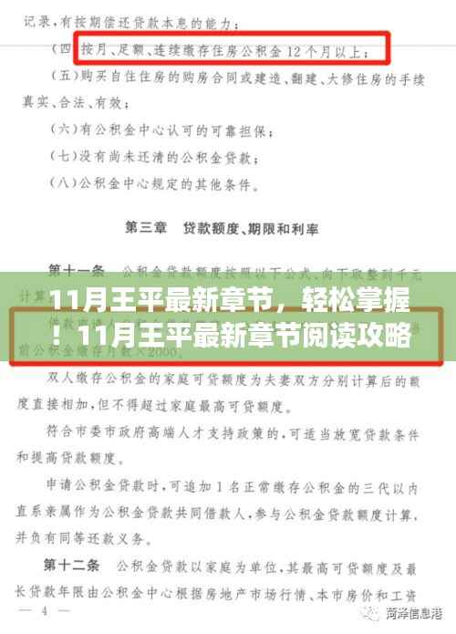 11月王平最新章节阅读指南,轻松掌握攻略
