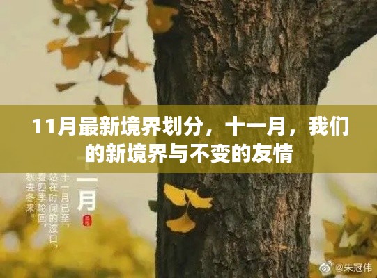 十一月新境界划分,友情不变,新境界启航