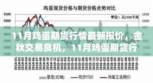 11月鸡蛋期货行情深度评测,金秋交易良机与最新报价