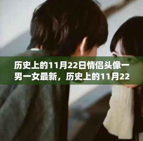 历史上的11月22日情侣头像一男一女深度测评与介绍,最新情侣头像推荐