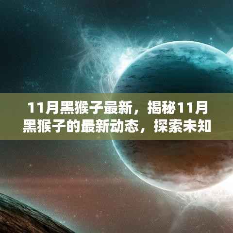 揭秘十一月黑猴子的最新动态,探索未知的秘密世界