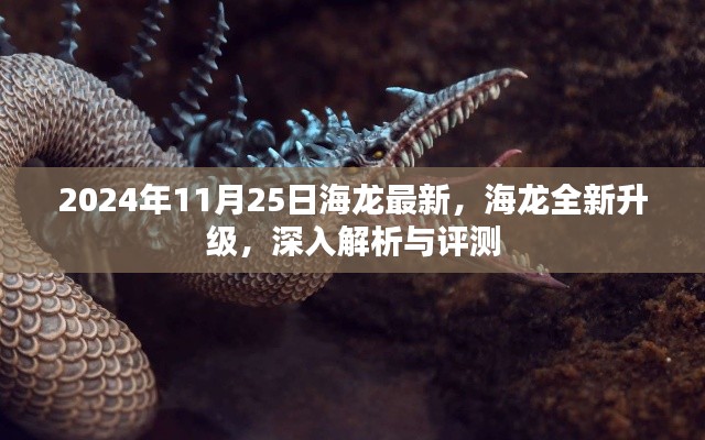海龙全新升级解析与评测,深度探讨2024年11月25日的最新升级内容