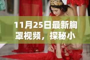 涉黄警告,揭秘神秘胸罩视频店,时尚之下隐藏的不堪真相