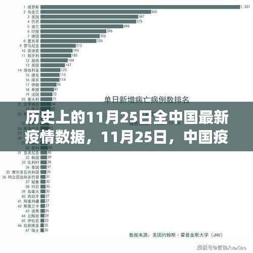 11月25日中国疫情数据概览,变迁与时代的印记