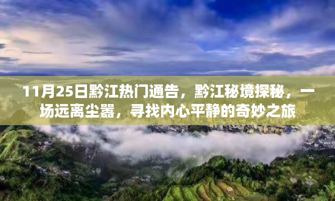 黔江秘境探秘,寻找内心平静的奇妙之旅(11月25日热门通告)