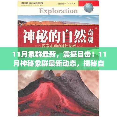 揭秘震撼目击,11月神秘象群最新动态,自然奇观展现眼前